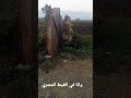 وانا في الغيط المصري الذكاء الصناعي مصر