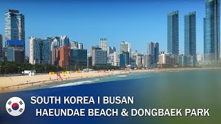 4K Haeundae Beach & Dongbaek Park I Busan South Korea I Relaxing Video