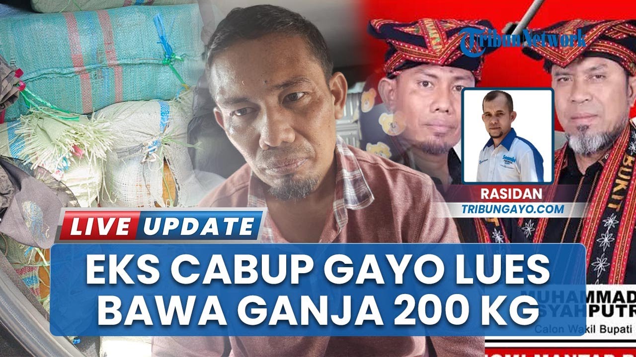 Eks Cabup Gayo Lues Bawa Ganja 200 Kilogram hendak Diselundupkan ke Medan, Ditangkap BNN