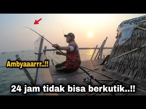 Ammmpyuun..!! 24 jam ngInep diserang ini langsung ambayaarr || tanjung kait