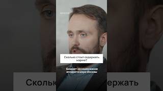 Сколько стоит содержать мэра Москвы? #москва #россия #политика #экономика #мэр
