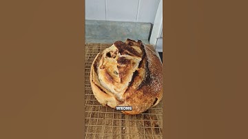 Sourdough misconception I had 4 months ago #sourdoughforbeginners #sourdoughstarter #sourdoughbread