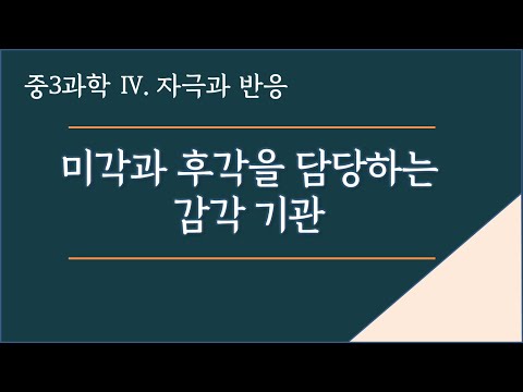 [중3과학]Ⅳ-5강 미각과 후각을 담당하는 감각 기관