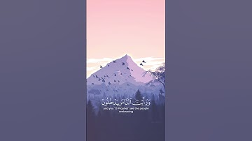 القارئ: سعد الغامدي
