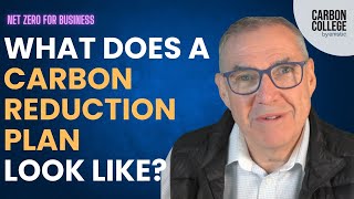 What does a Carbon Reduction Plan look like