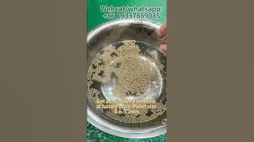 Fish Feed Extruder Machine Factory Test | High Efficiency 1mm Floating Fish Feed Shrimp Feed #LIMA