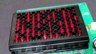 Optical Microplate