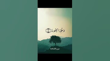 فَإِنَّ حِزْبَ اللَّهِ هُمُ الْغَالِبُونَ || سورة المائدة || علي جابر