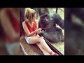 Internet falls in loves with smartphone-loving gorilla