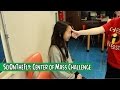 SciOnTheFly: Center of Mass Challenge