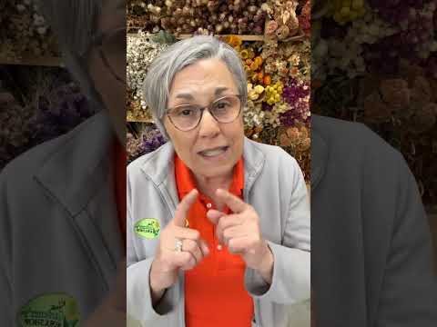 Comment SALES to join the masterclass!! “Where to Sell Your Cut Flowers” #gardenersworkshopfarm Comment SALES to join the masterclass!! “Where to Sell Your Cut Flowers” #gardenersworkshopfarm