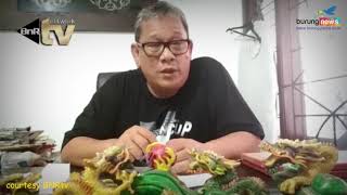 BNRtv, BANG BOY: DREAM SENGON CUP MURNI EVENT BnR INDONESIA (vidio dikirim langsung dari Bang Boy)