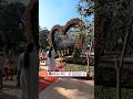 semmozhi Poonga flower show| Valentines special | flower show 2024 ends today 20th Feb | #shortsfeed