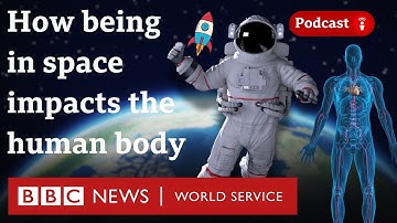 How does space change the human body? - What in the World podcast, BBC World Service