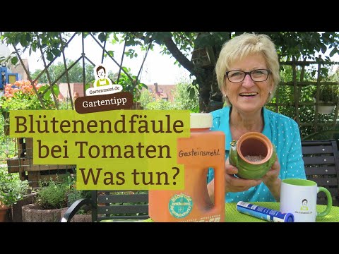 Video: Braunfäule-Blüte und Zweigfäule - Erfahren Sie mehr über die Behandlung von Braunfäule-Blütenfäule