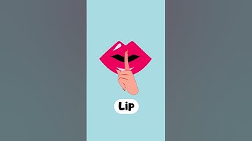 Learning Body Shapes for Easy Learn