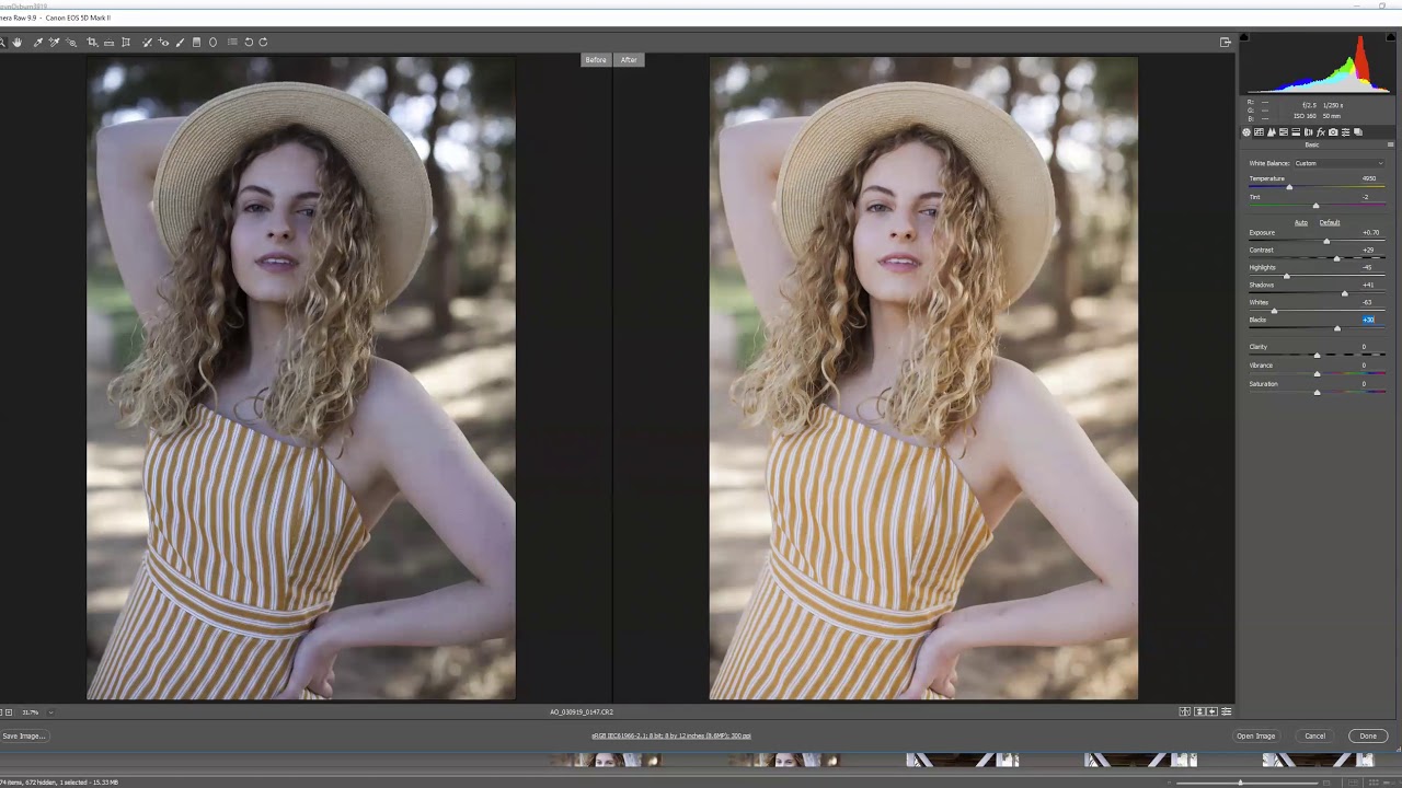 Editing Raw Files with Adobe Bridge and Camera Raw