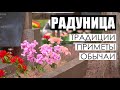 Радуница! Можно ли есть на кладбищах и что нужно помнить верующим? // Христианские праздники