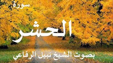 059  سورة الحشر بصوت الشيخ نبيل الرفاعي