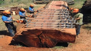 Everyone should watch this video! Scary tree cutting machines..