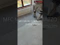 MFC MICRO TERRAZZO podłogi premium