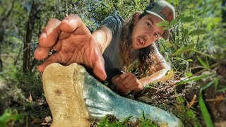 The BEST Megalodon Shark Tooth Hunt I Have Had in a LONG Time! Florida Fossil Shark Tooth Hunting