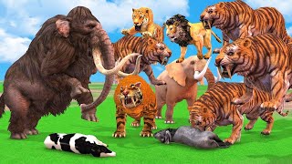 African Elephant Vs 3 Giant Tigers Lion Attack Camel, 5 Zebra Saved by Woolly Mammoth Vs Tiger Panda