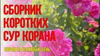 ДЕНЬ АШУРА - СБОРНИК КОРОТКИХ СУР КОРАНА НА КАЖДЫЙ ДЕНЬ - КРАСИВОЕ ЧТЕНИЕ КОРАНА