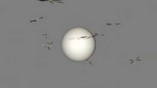swarmtest 2_11