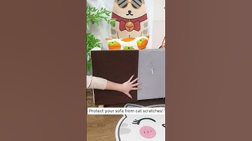 The Best Way to Protect Your Couch from Cat Scratches!  #cat #couch #furniture