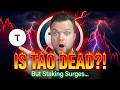 Is Bittensor Dead? The Truth About The TAO -43% Crash