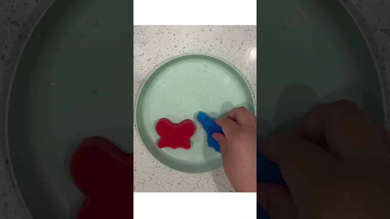 Frozen Sponge Chewing 