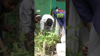 குழந்தைகள் ஊட்டச்சத்து பிரச்சனை 😟 | தீர்வு இருக்கா? | Eco India S2
