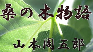 【朗読】桑の木物語　山本周五郎　読み手アリア