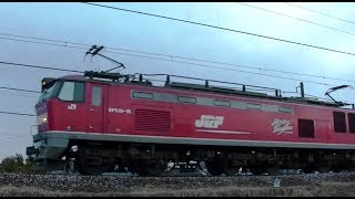 ﾚｯﾄﾞｻﾝﾀﾞｰEF510-15牽引高速貨物3097ﾚ　広島→新潟