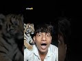 all country AI lion video