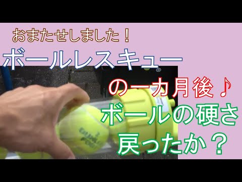 検証動画】一ヶ月後にテニスボールが元にもどった！？ - YouTube