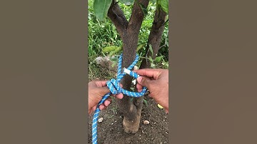 World Strong Practical Rope Knot Skills For You!