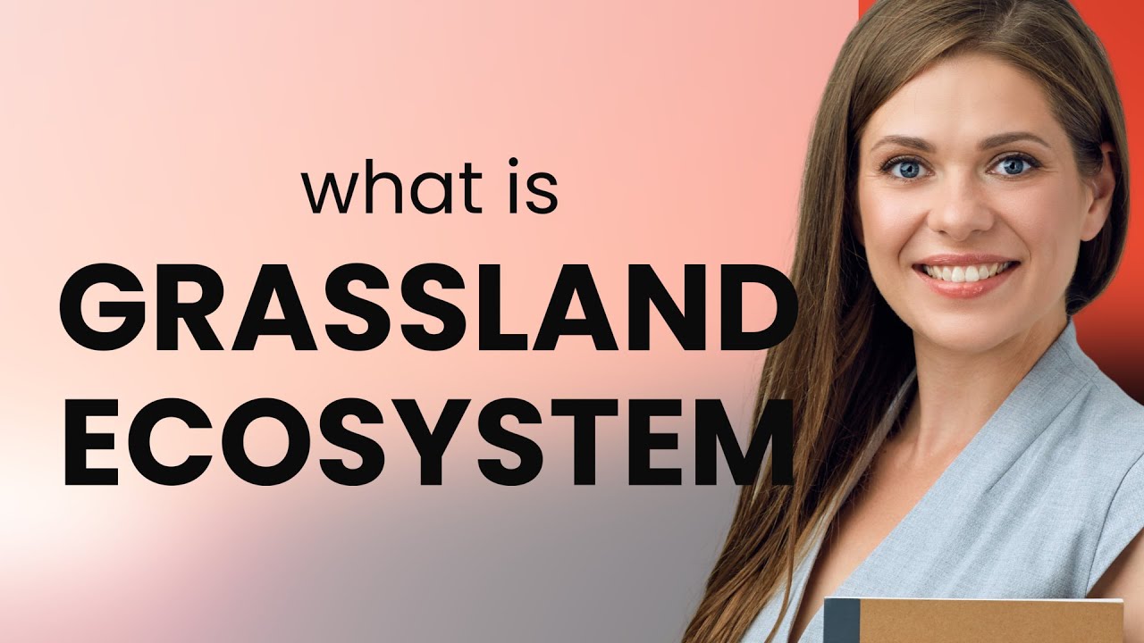 Exploring the Grassland Ecosystem: A World of Diversity