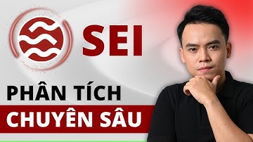 SEI Network | Top Layer1 2025 – SEI có xứng đáng nằm trong danh sách ? | Sang LV