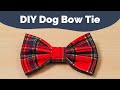 Diy doggy bow tie  the canine story tutorial