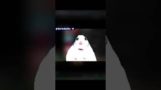 из-за них корабль потонет #twitch #memes #юмор #реакция #barbaroska #барбароска