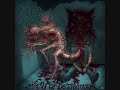 Flesh Quota-Birth of Destruction (Full Album)