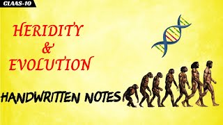Heredity and Evolution Class 10 Notes PDF
