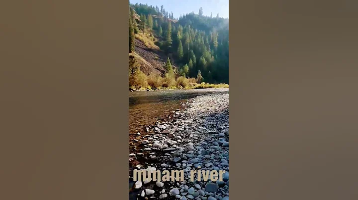 Minam River [Oregon] #shorts #pnw #oregon #nezperc...