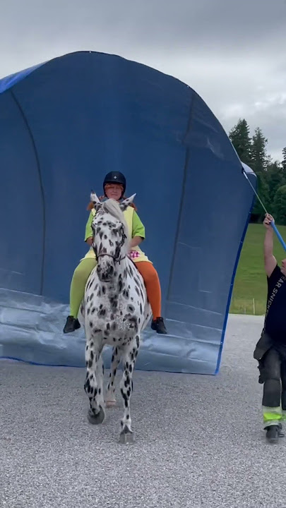 Pippi Långstrump & Lilla Gubben, 2023-07-30