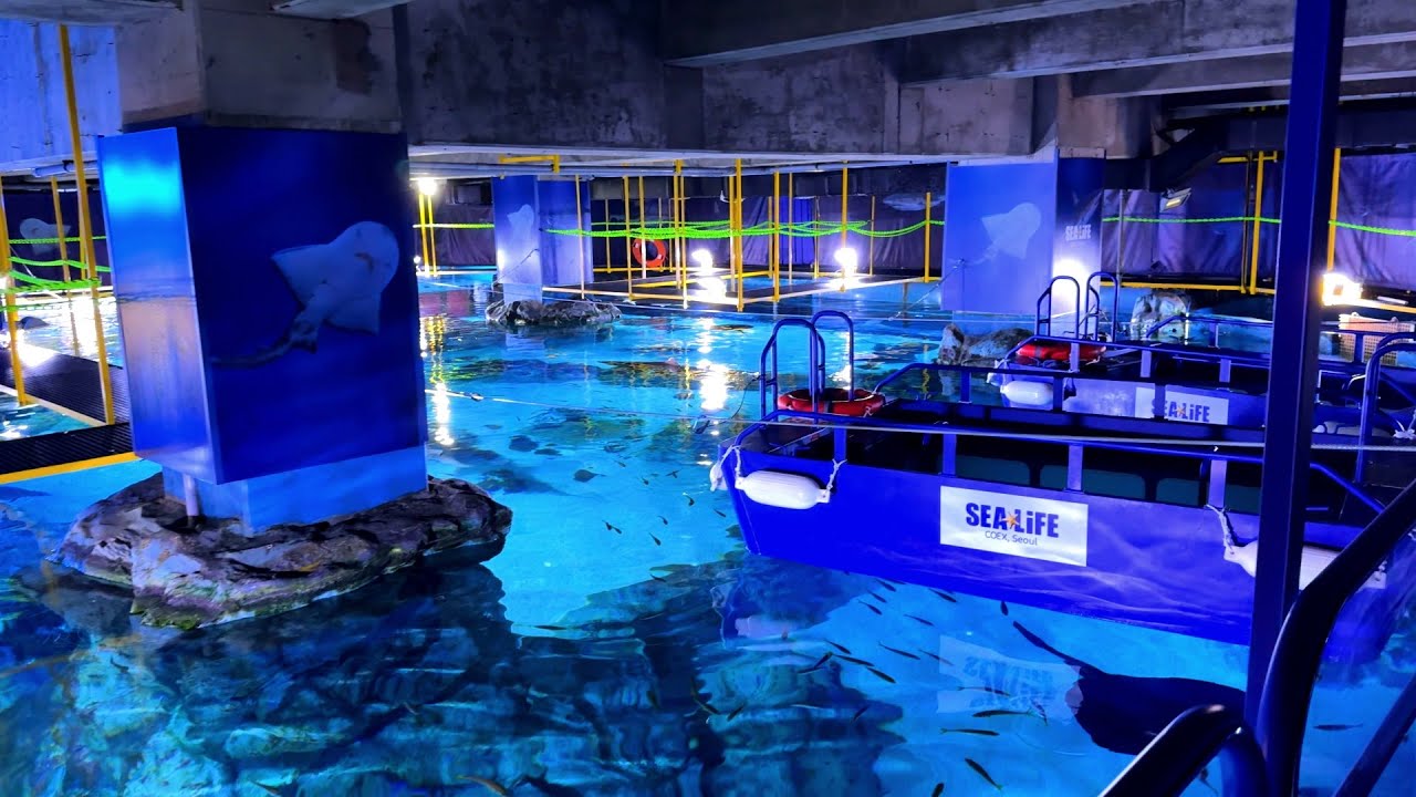SeaLife COEX Seoul - the Largest Aquarium in Seoul, South Korea (4K Full Tour)