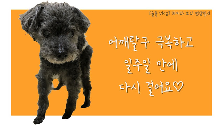 [돌돌 vlog] ep7. 어깨탈구 극복 후 다시 걷는 장한 우래기♡