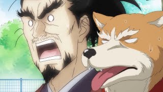 アニメ「織田シナモン信長」PV　戦国武将が犬になって現代に転生　堀内犬友、犬川登志夫ら“謎の超大型新人声優”集結