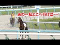 1番人気で福永祐一騎手を振り落としカラ馬でゴール!その後行き場に困ったショウナンアキドン